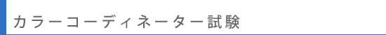 �J���[�R�[�f�B�l�[�^�[����