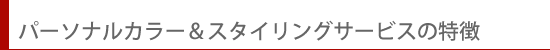 �p�[�\�i���J���[���X�^�C�����O�T�[�r�X